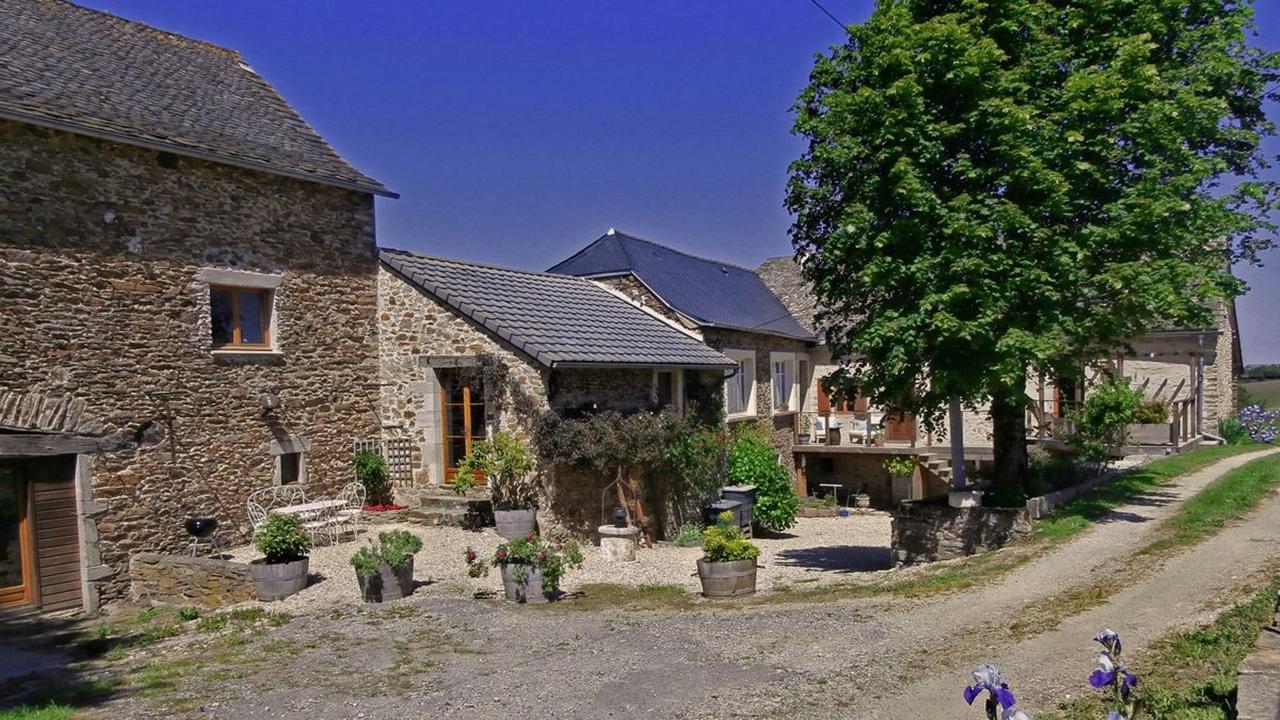 Domaine De Lasfonds Rieupeyroux  Zewnętrze zdjęcie